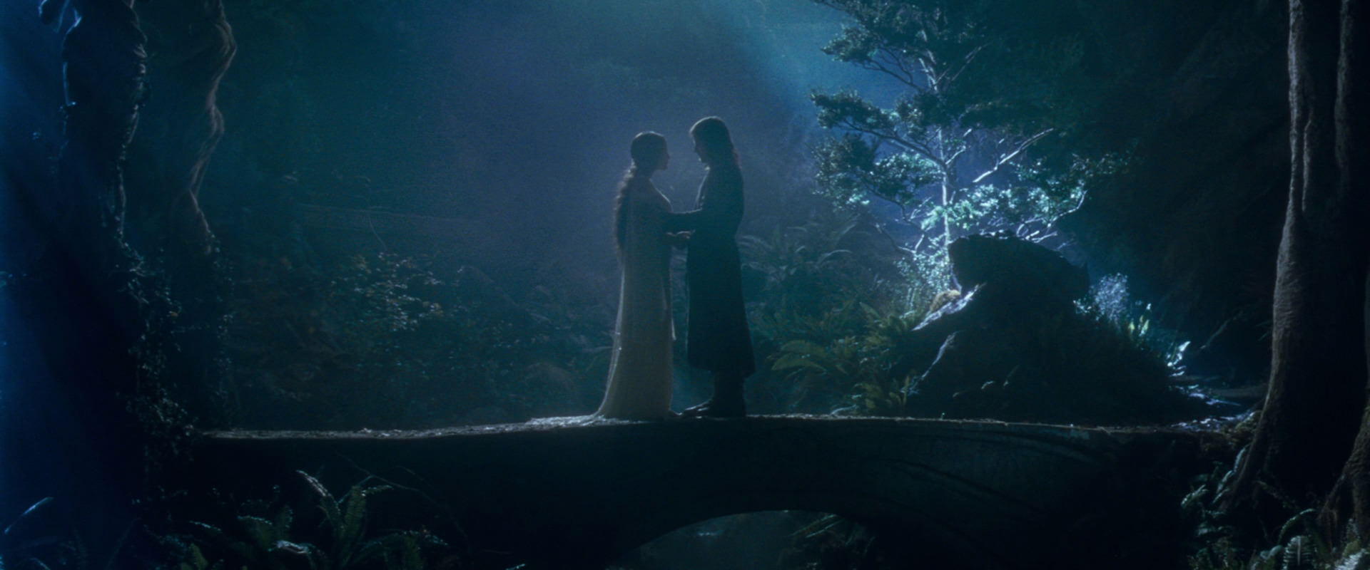 The Lord of the Rings: The Fellowship of the Ring (2001) screencap 11289