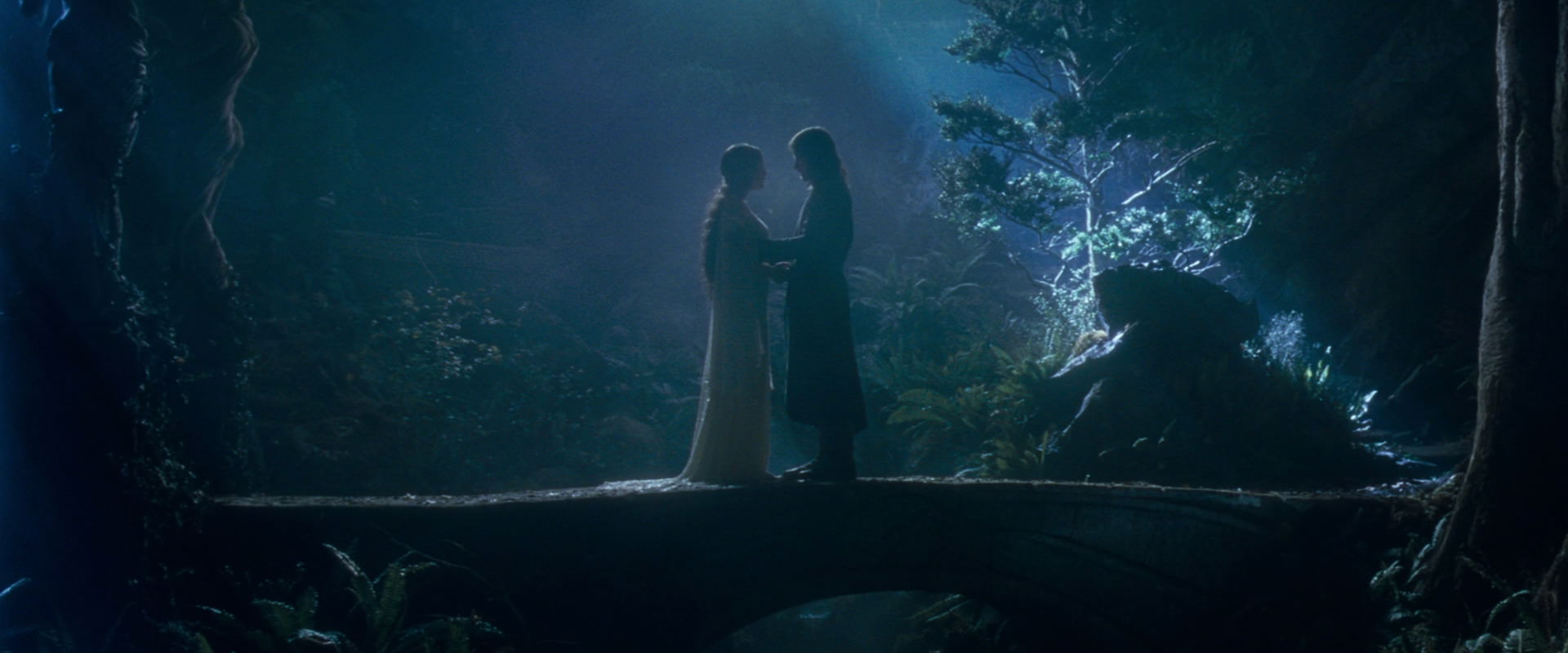 The Lord of the Rings: The Fellowship of the Ring (2001) movie still 11290