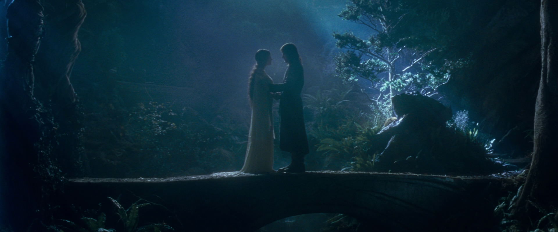 The Lord of the Rings: The Fellowship of the Ring (2001) HD screenshot 11291