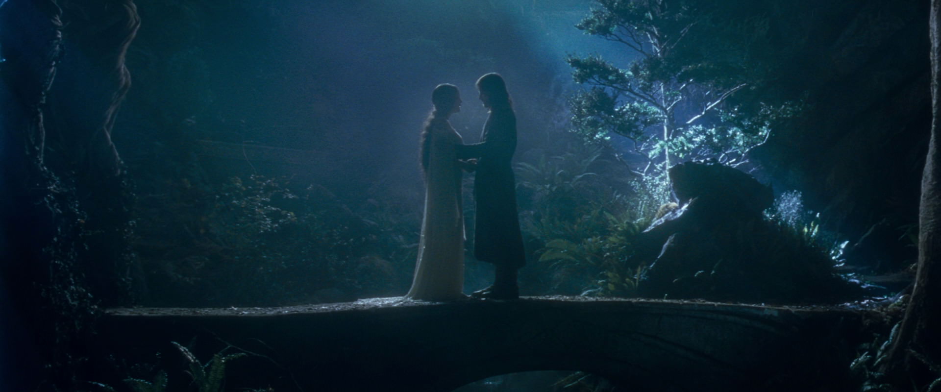 The Lord of the Rings: The Fellowship of the Ring (2001) screencap 11292