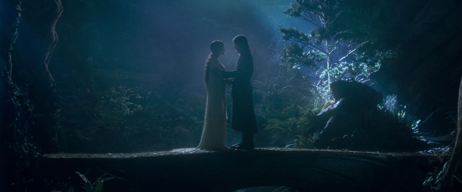 The Lord of the Rings: The Fellowship of the Ring (2001) movie still 11293