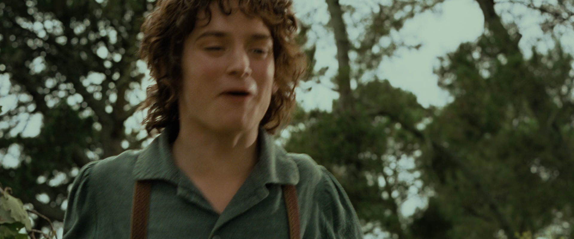 The Lord of the Rings: The Fellowship of the Ring (2001) HD screenshot 1133