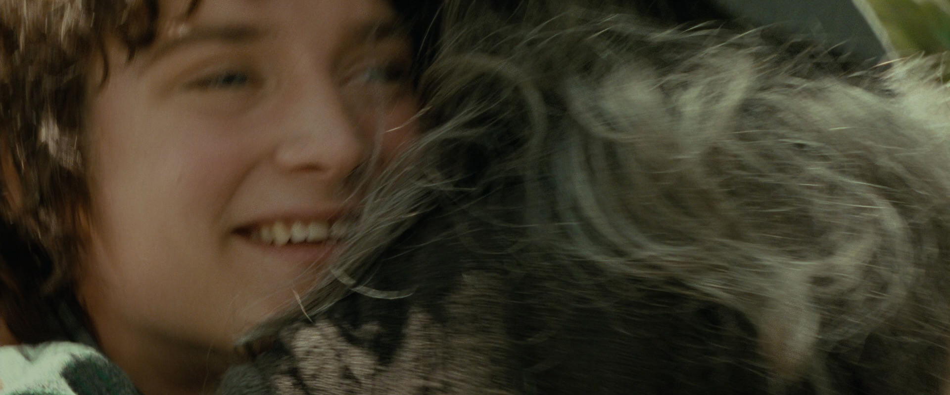 The Lord of the Rings: The Fellowship of the Ring (2001) HD screenshot 1142