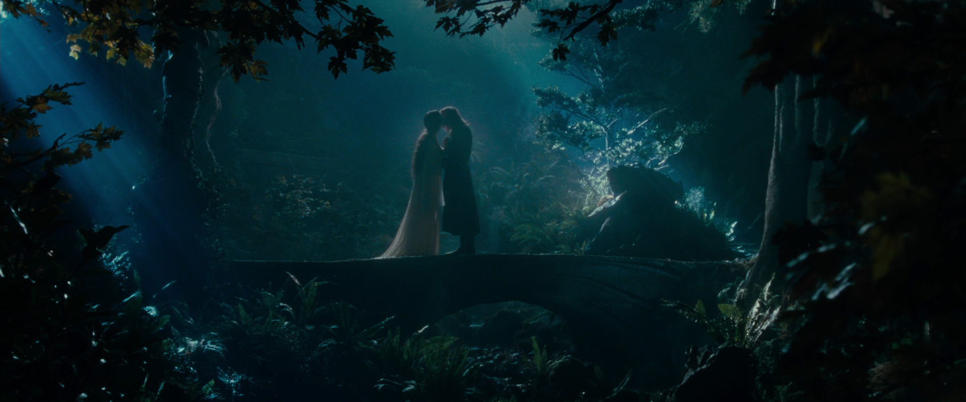 The Lord of the Rings: The Fellowship of the Ring (2001) screencap 11442