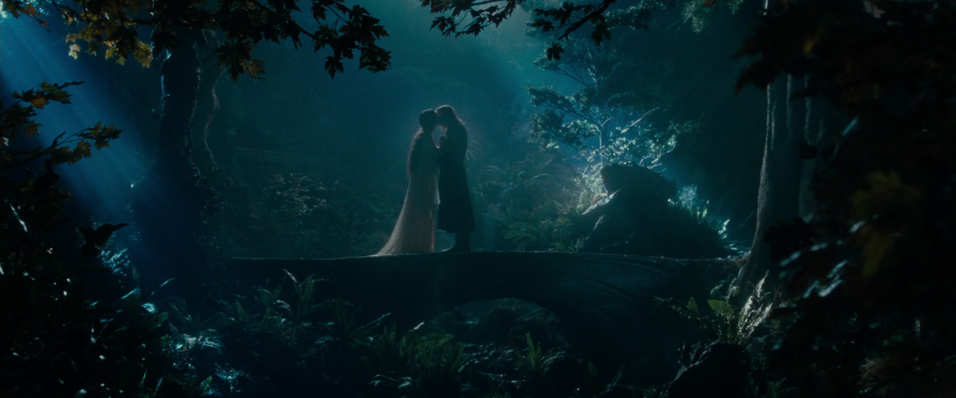 The Lord of the Rings: The Fellowship of the Ring (2001) movie still 11443