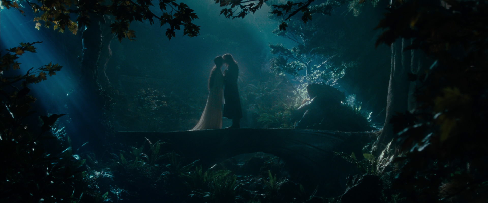 The Lord of the Rings: The Fellowship of the Ring (2001) HD screenshot 11444