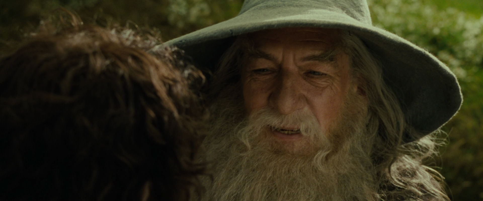 The Lord of the Rings: The Fellowship of the Ring (2001) screencap 1146