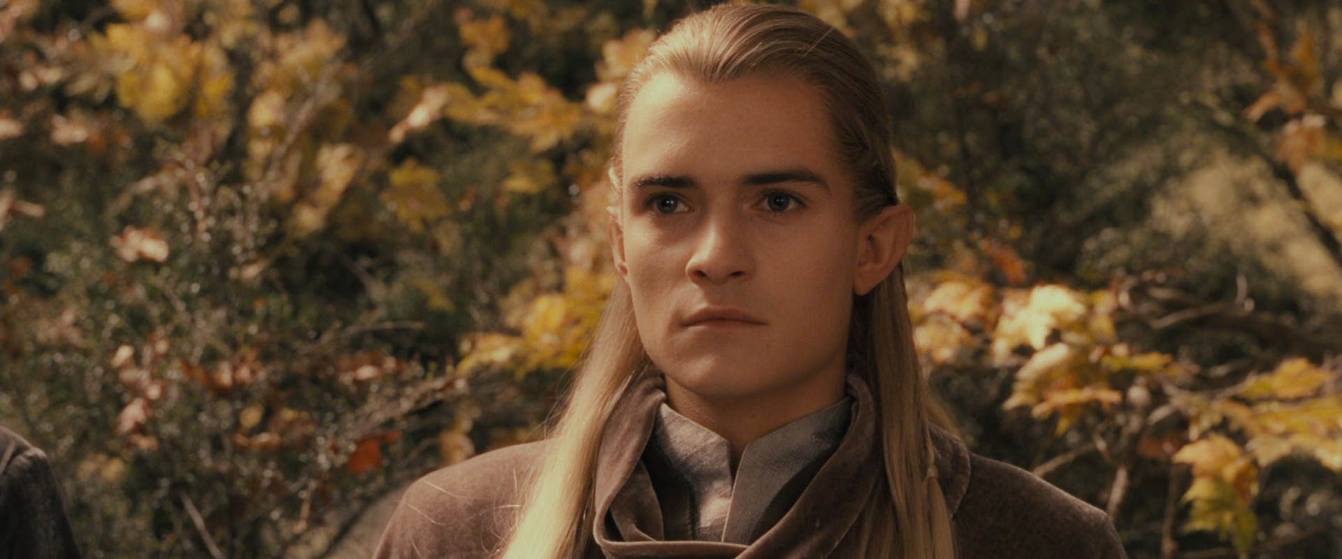 The Lord of the Rings: The Fellowship of the Ring (2001) screencap 11472
