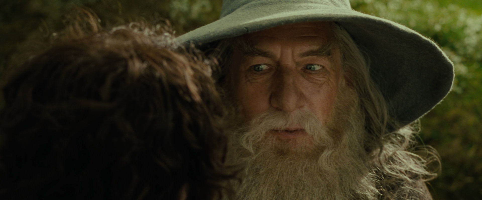 The Lord of the Rings: The Fellowship of the Ring (2001) screencap 1149