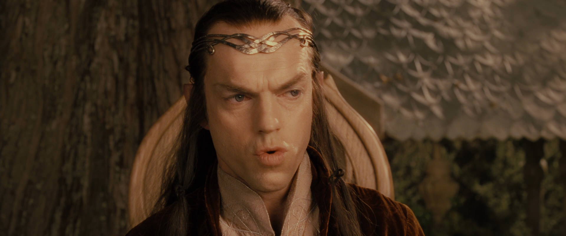 The Lord of the Rings: The Fellowship of the Ring (2001) screencap 11490