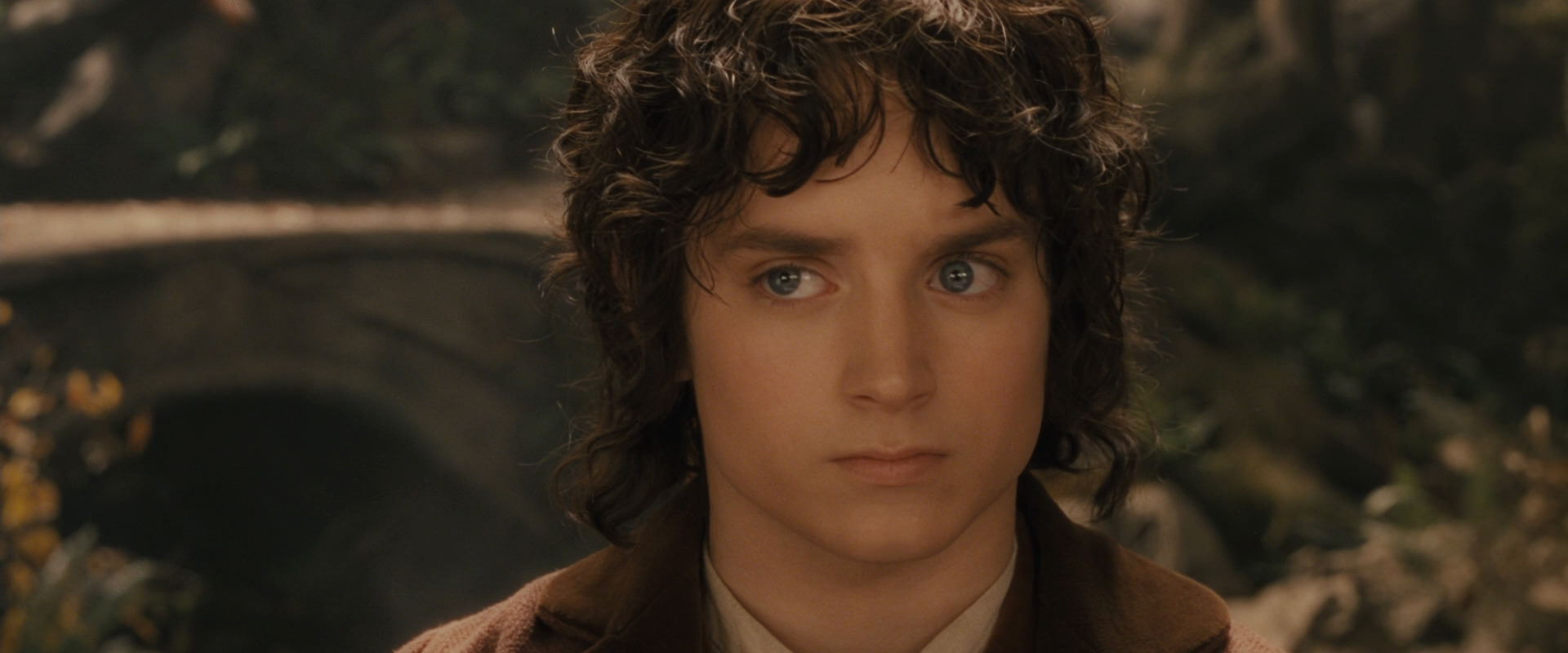 The Lord of the Rings: The Fellowship of the Ring (2001) screencap 11493