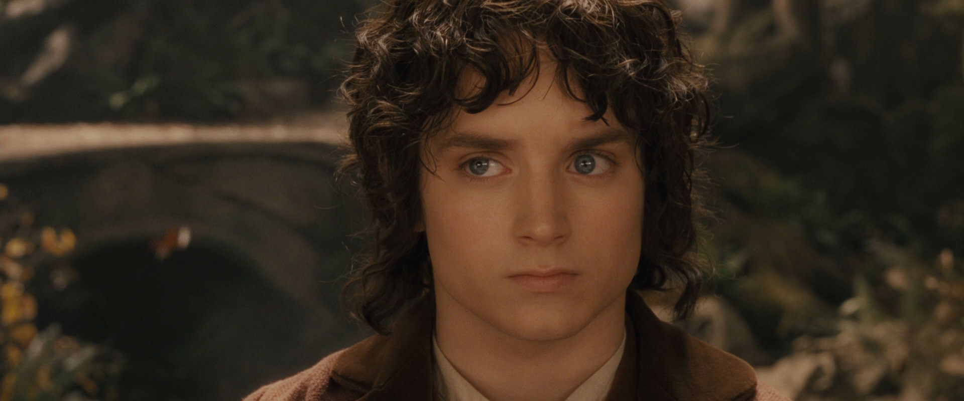 The Lord of the Rings: The Fellowship of the Ring (2001) movie still 11494