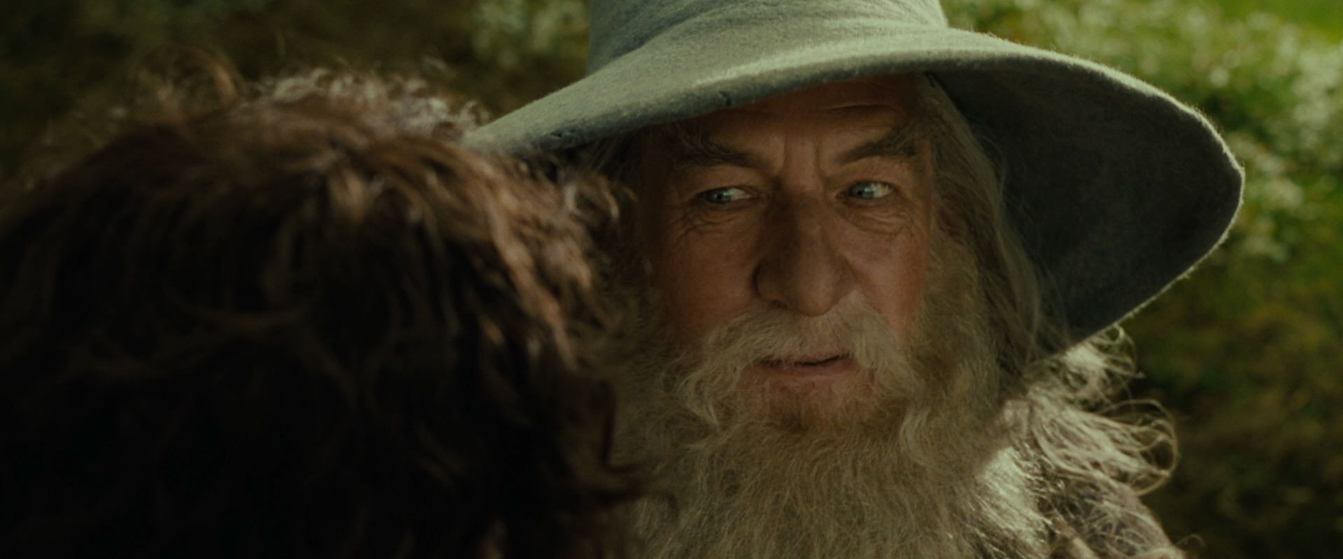The Lord of the Rings: The Fellowship of the Ring (2001) HD screenshot 1151