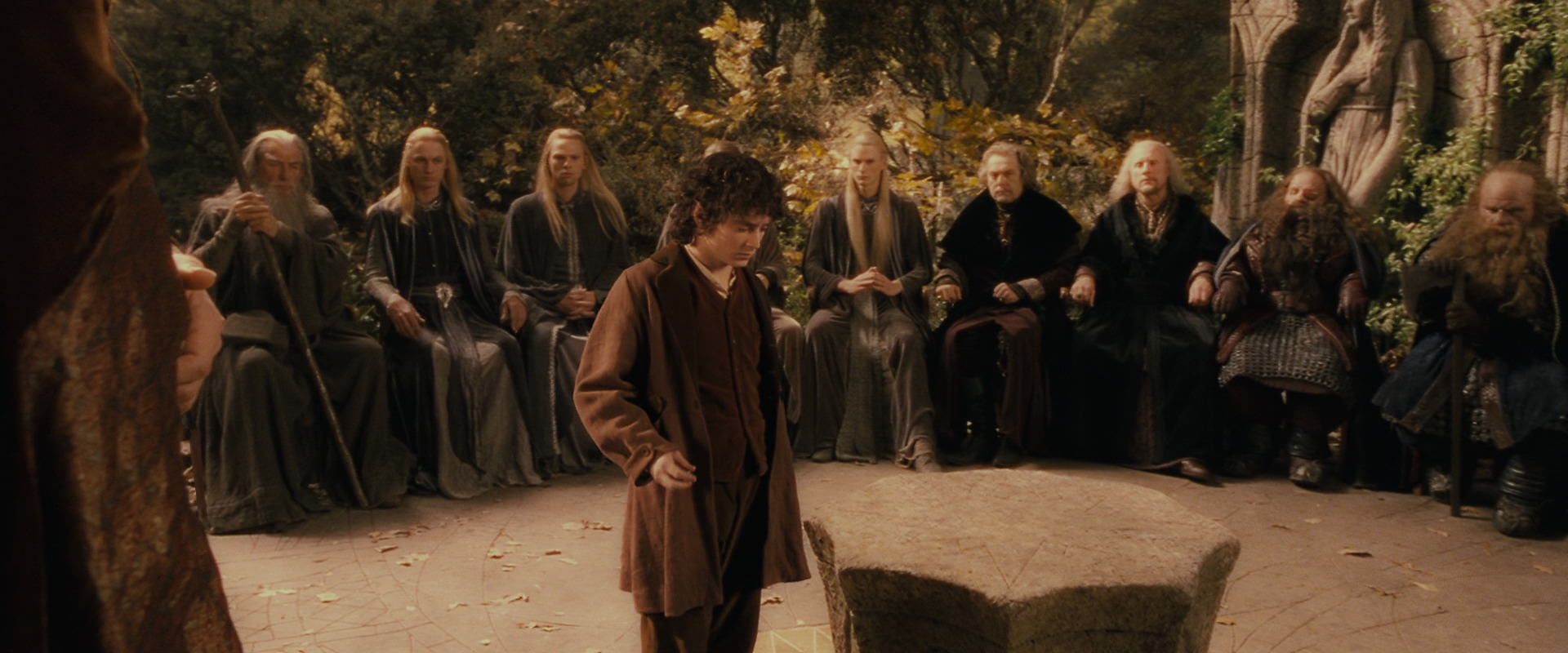 The Lord of the Rings: The Fellowship of the Ring (2001) movie still 11518