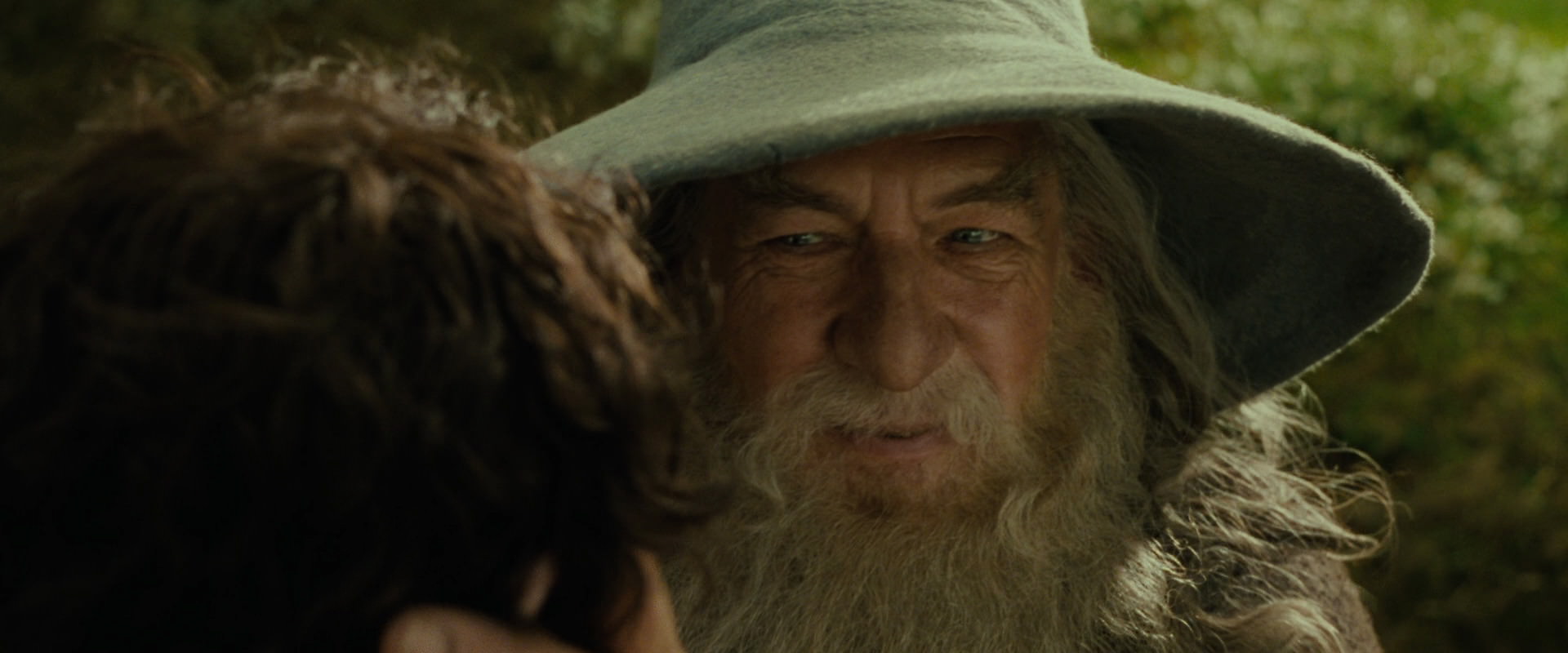 The Lord of the Rings: The Fellowship of the Ring (2001) screencap 1152