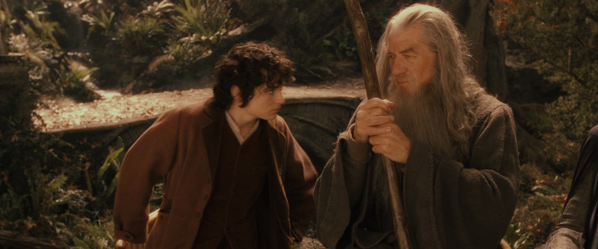 The Lord of the Rings: The Fellowship of the Ring (2001) screencap 11538
