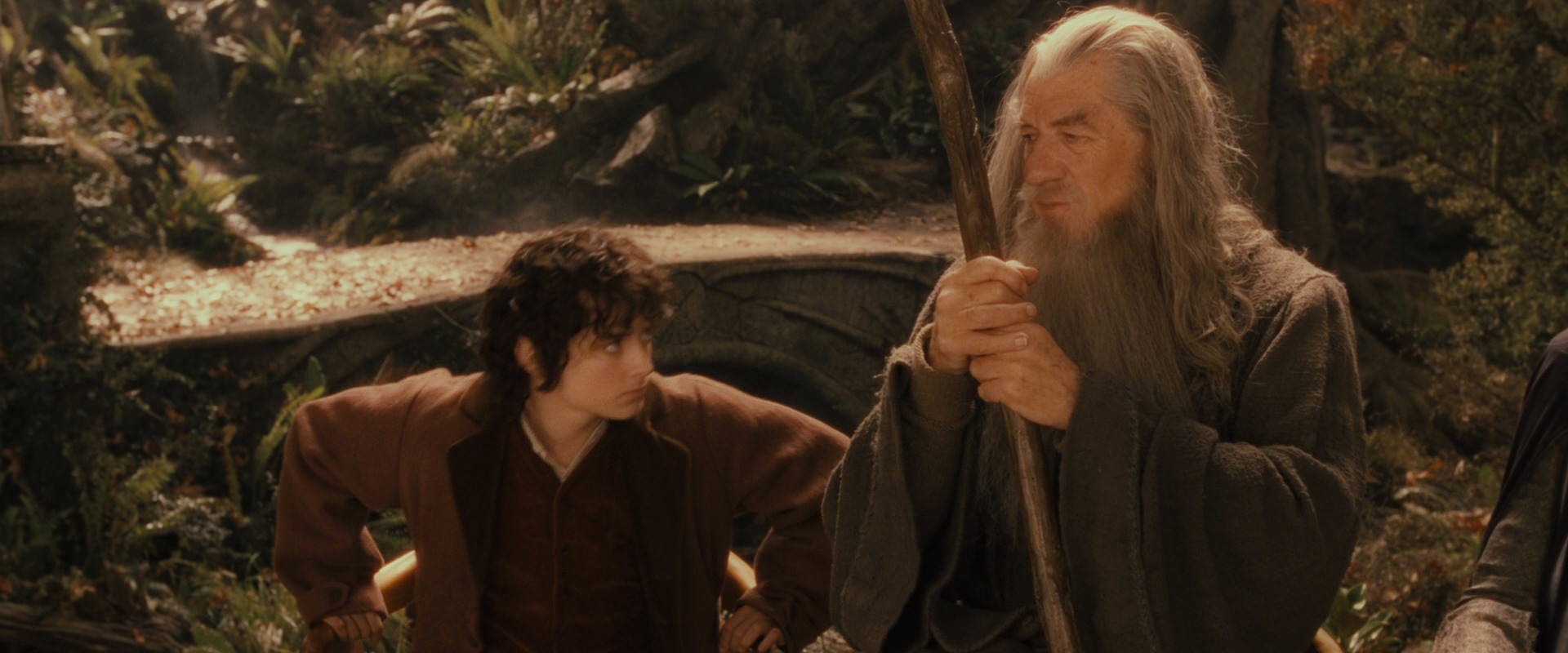 The Lord of the Rings: The Fellowship of the Ring (2001) movie still 11539