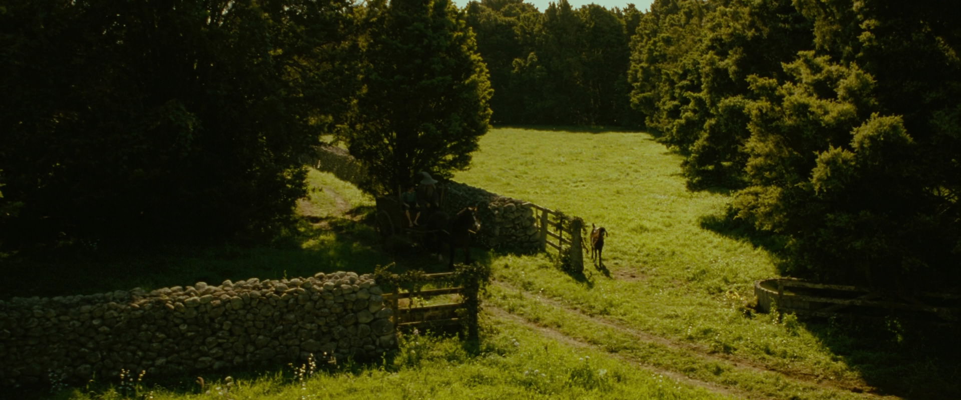 The Lord of the Rings: The Fellowship of the Ring (2001) HD screenshot 1154