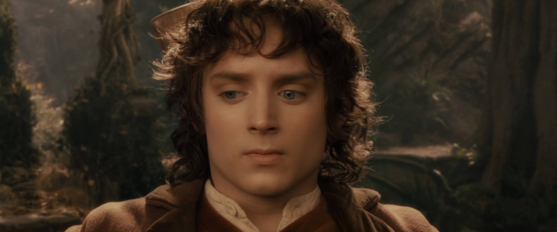 The Lord of the Rings: The Fellowship of the Ring (2001) screencap 11541