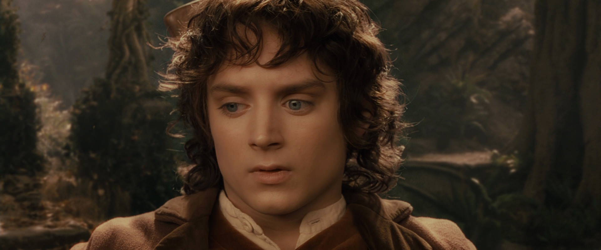 The Lord of the Rings: The Fellowship of the Ring (2001) movie still 11542