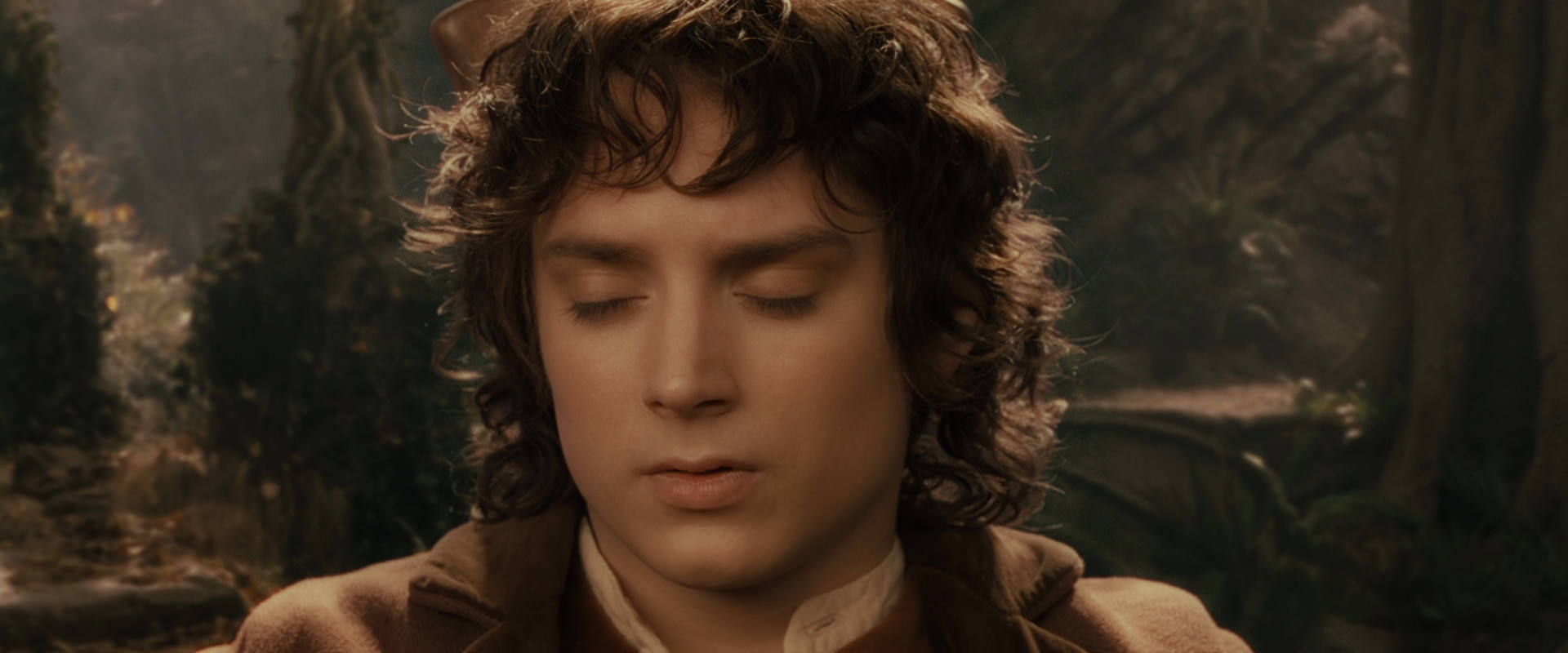 The Lord of the Rings: The Fellowship of the Ring (2001) screencap 11544