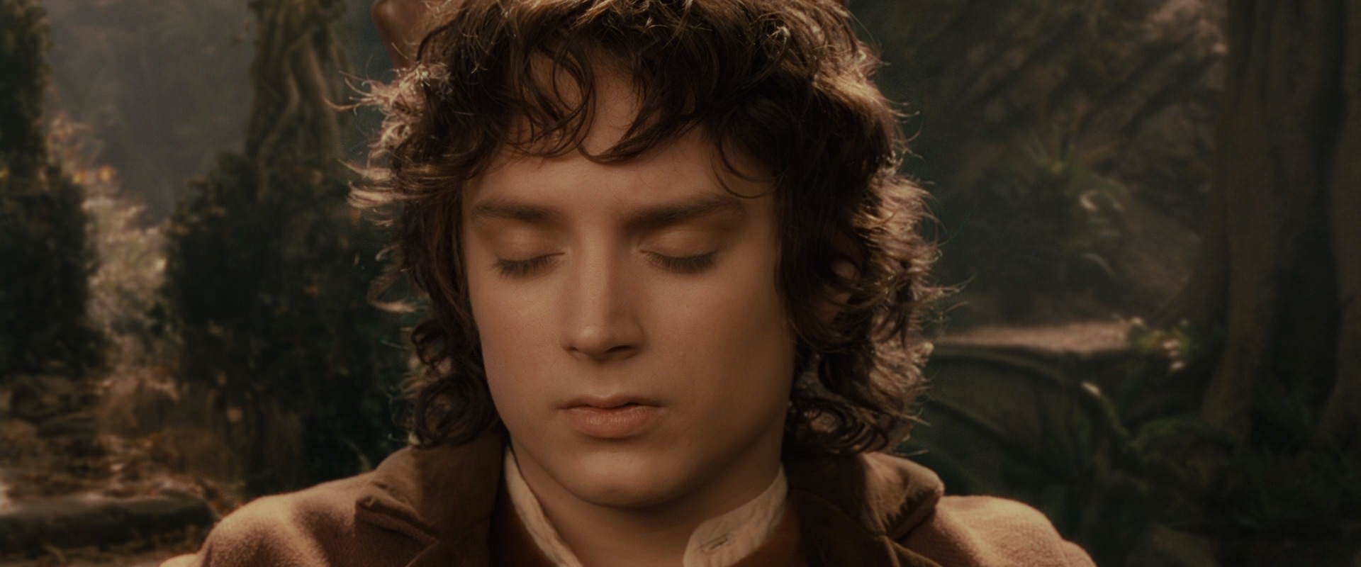 The Lord of the Rings: The Fellowship of the Ring (2001) movie still 11545