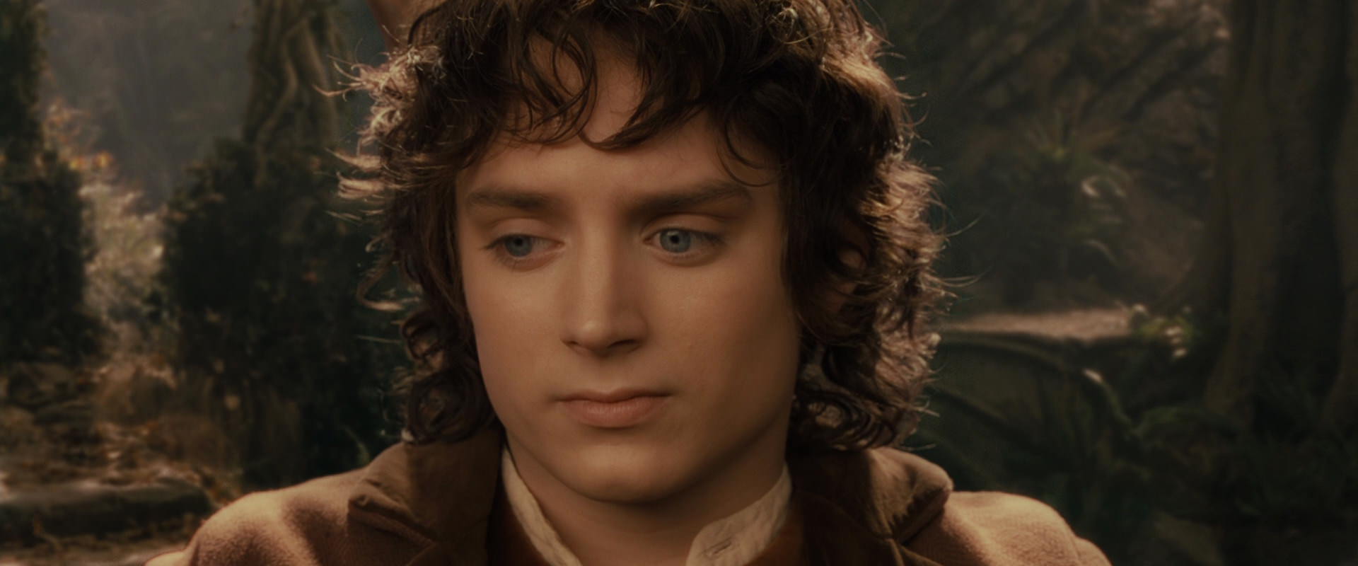 The Lord of the Rings: The Fellowship of the Ring (2001) screencap 11547