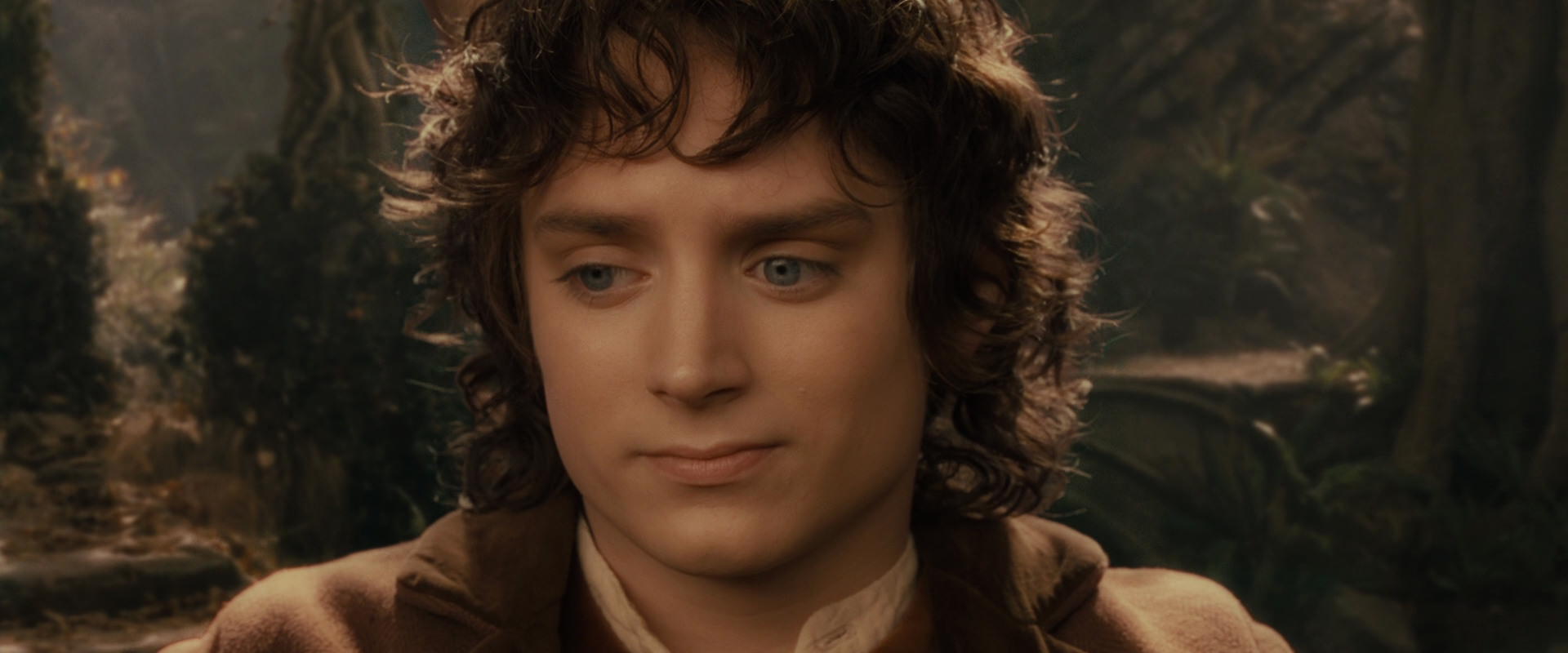 The Lord of the Rings: The Fellowship of the Ring (2001) movie still 11548