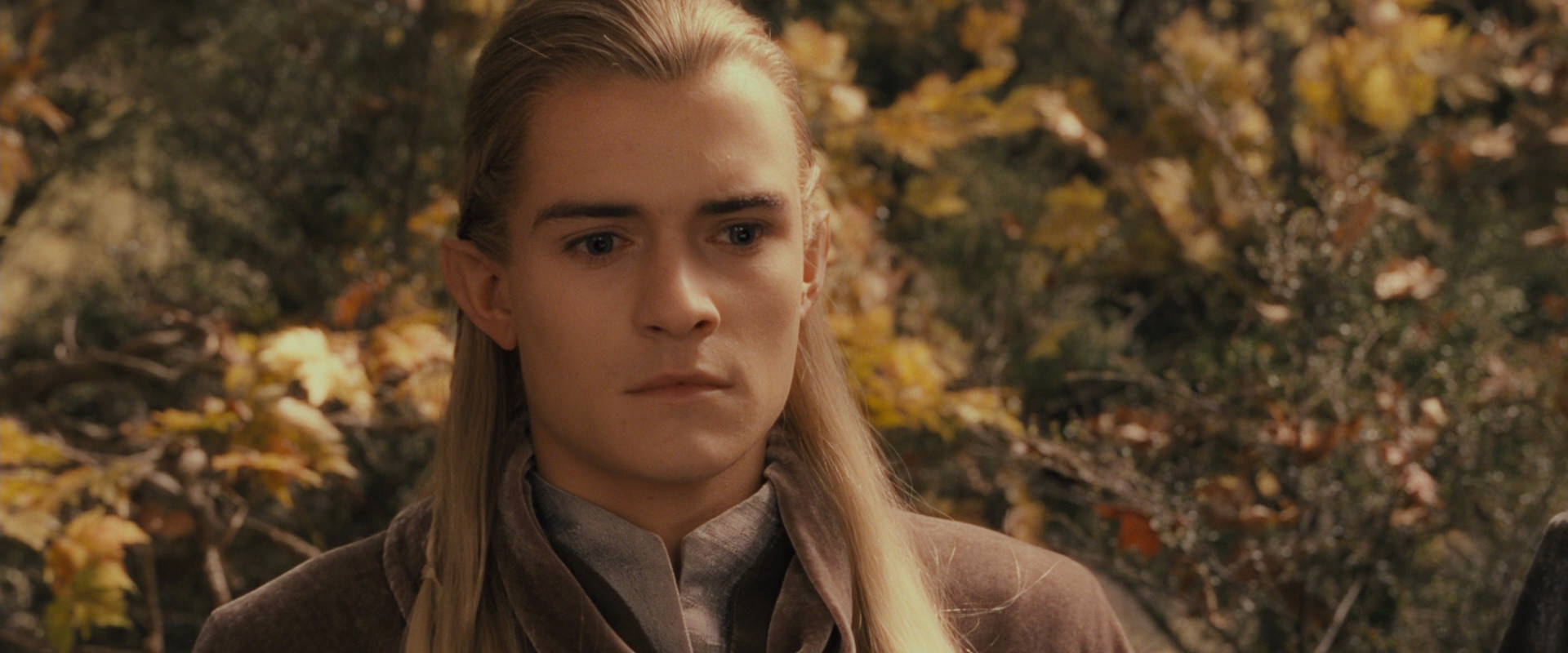 The Lord of the Rings: The Fellowship of the Ring (2001) HD screenshot 11549