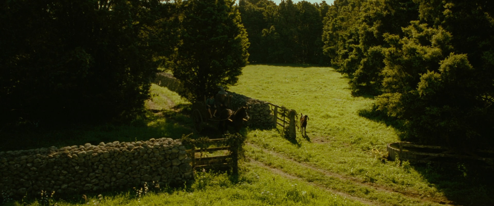 The Lord of the Rings: The Fellowship of the Ring (2001) screencap 1155
