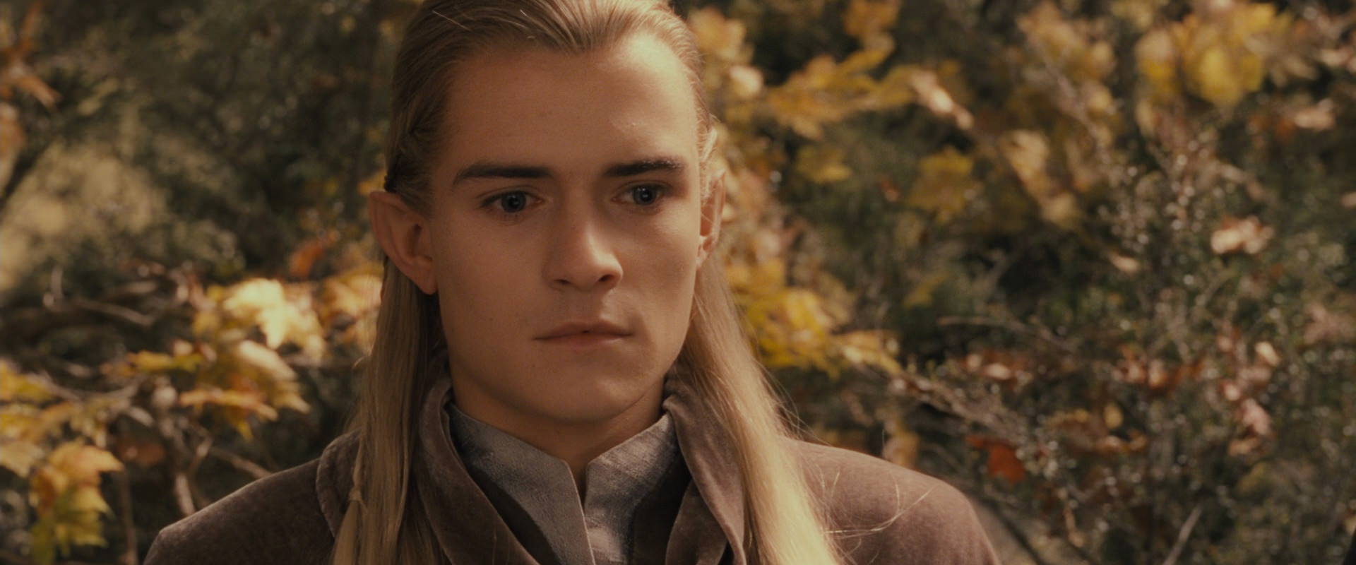 The Lord of the Rings: The Fellowship of the Ring (2001) screencap 11550