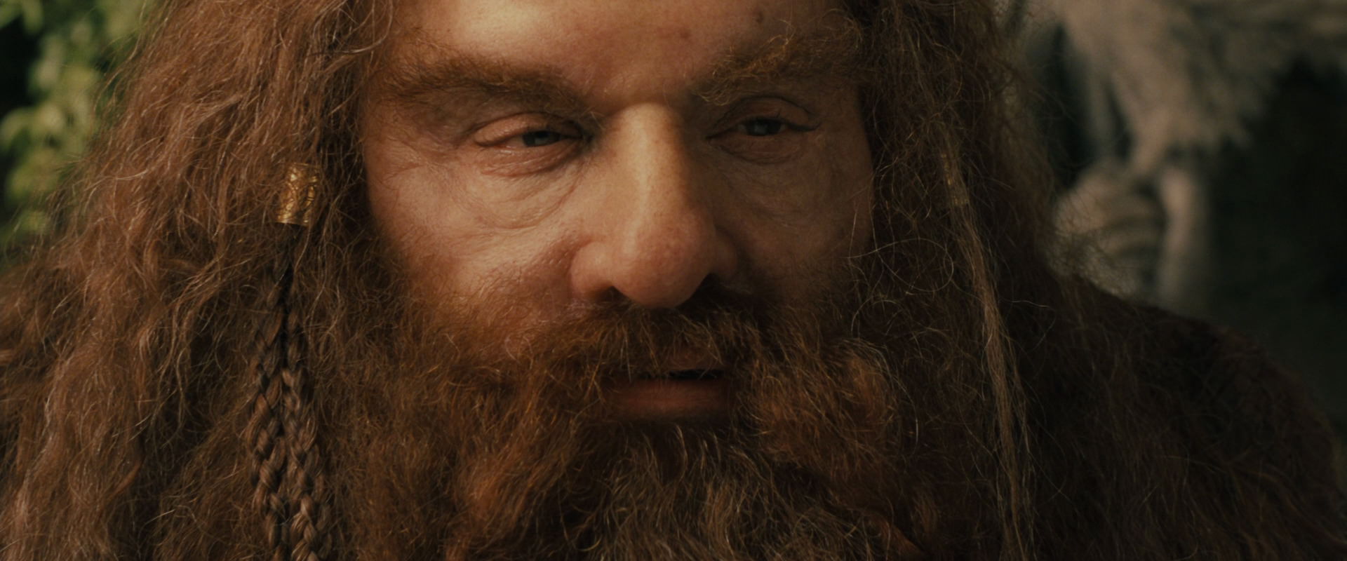 The Lord of the Rings: The Fellowship of the Ring (2001) screencap 11556
