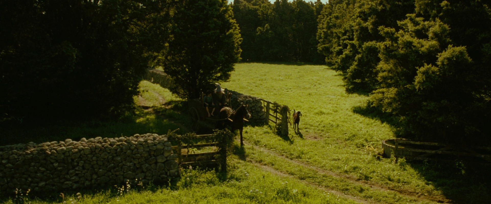 The Lord of the Rings: The Fellowship of the Ring (2001) movie still 1156
