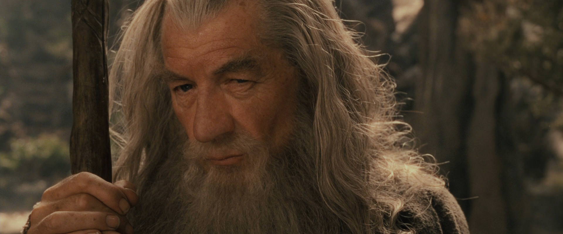 The Lord of the Rings: The Fellowship of the Ring (2001) screencap 11565