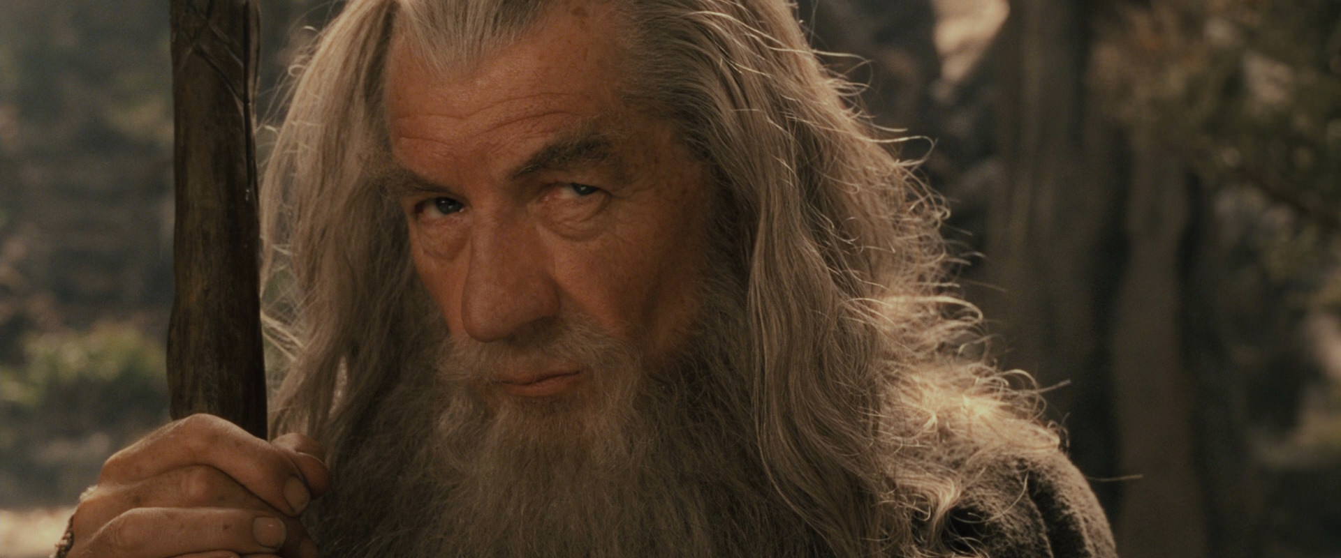 The Lord of the Rings: The Fellowship of the Ring (2001) movie still 11566