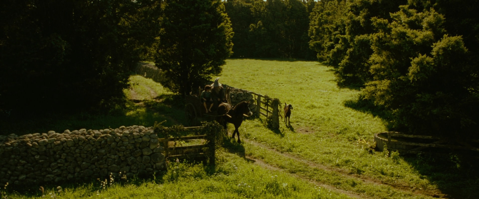 The Lord of the Rings: The Fellowship of the Ring (2001) HD screenshot 1157