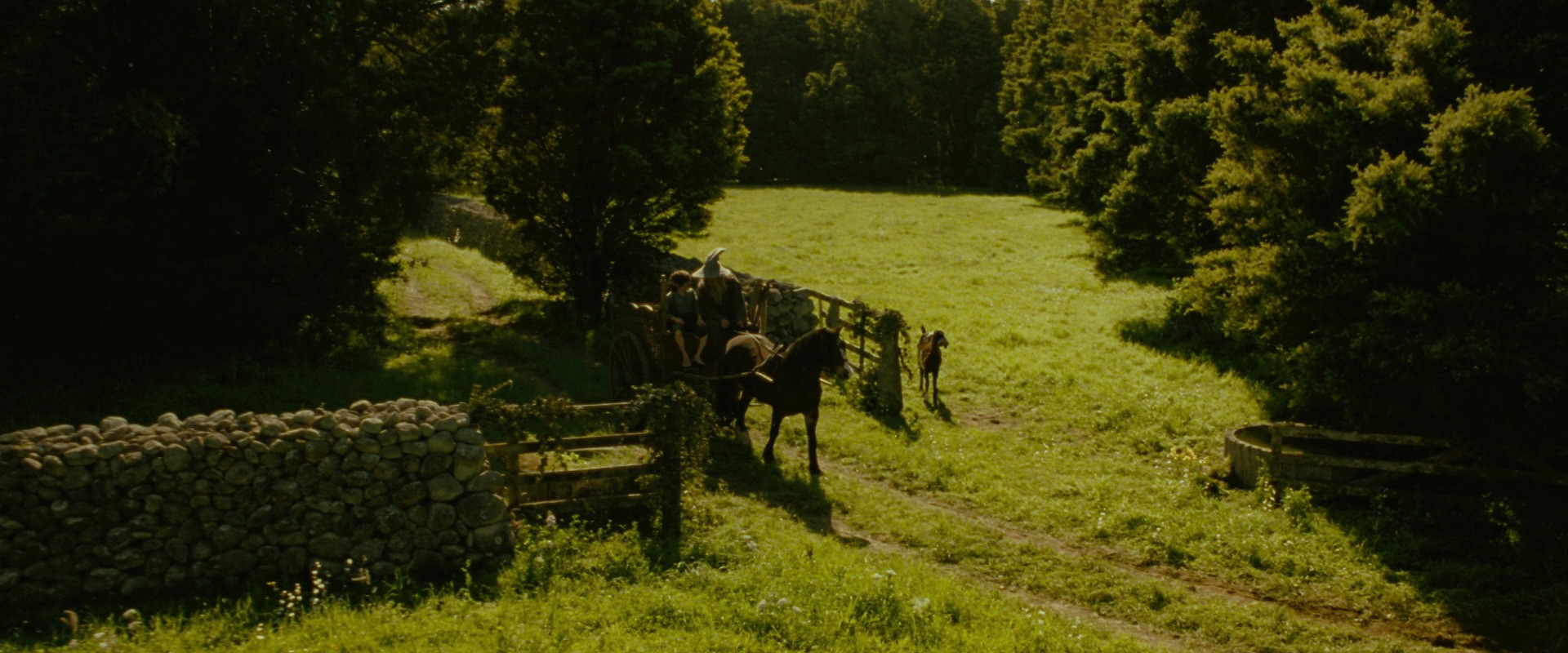 The Lord of the Rings: The Fellowship of the Ring (2001) screencap 1158