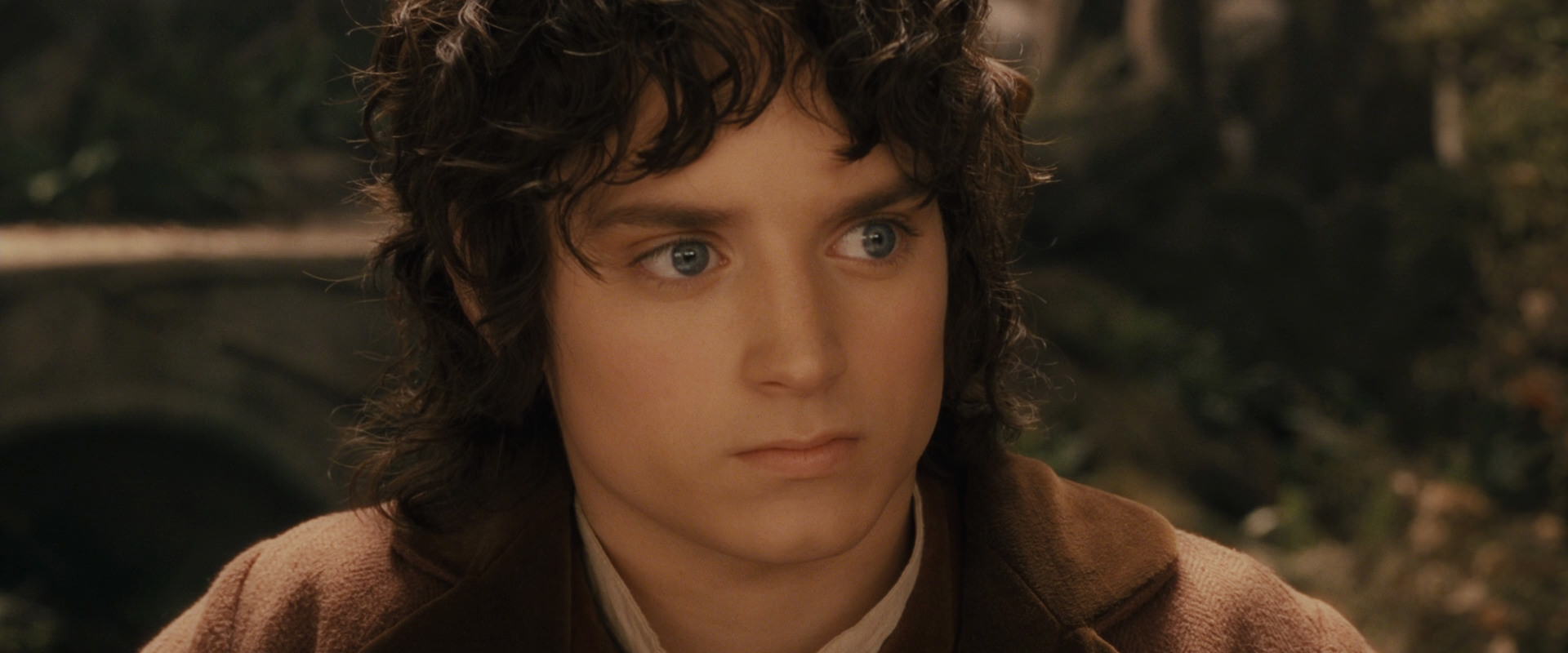 The Lord of the Rings: The Fellowship of the Ring (2001) screencap 11586