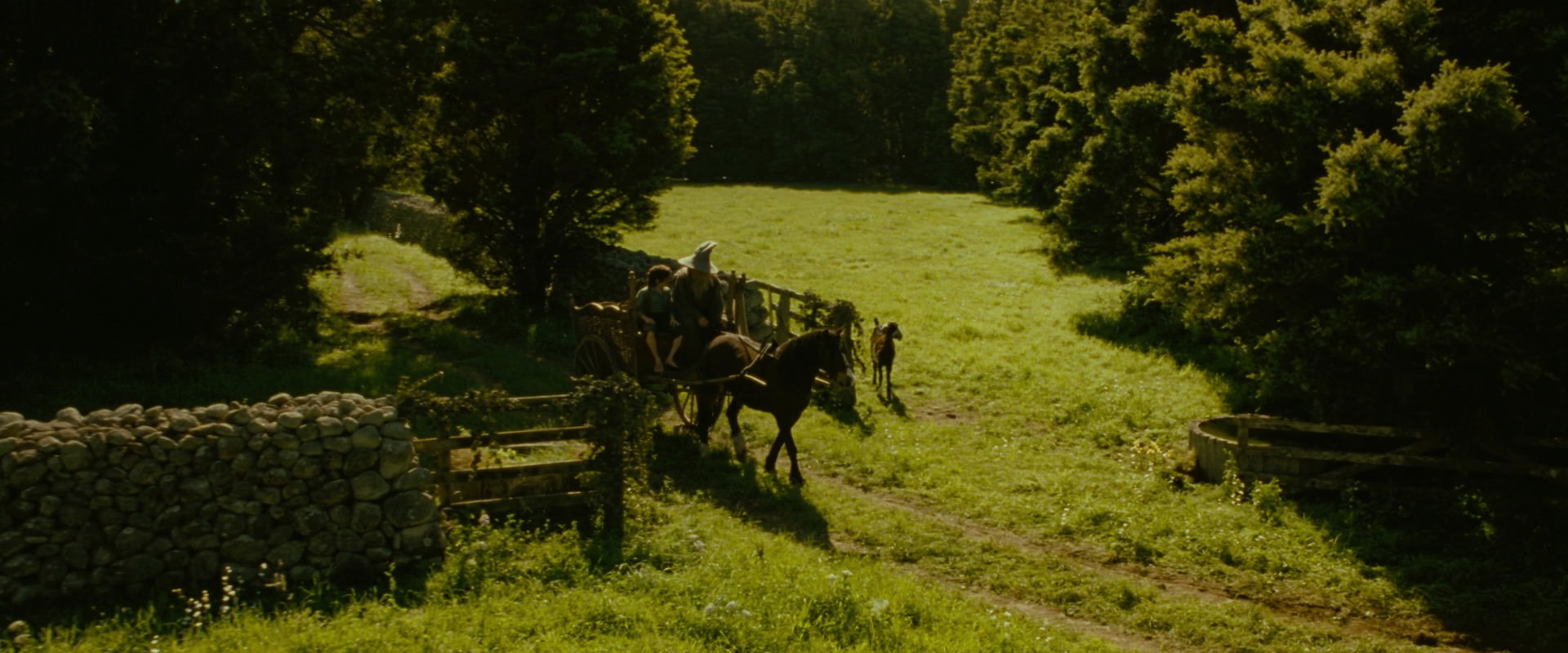 The Lord of the Rings: The Fellowship of the Ring (2001) movie still 1159