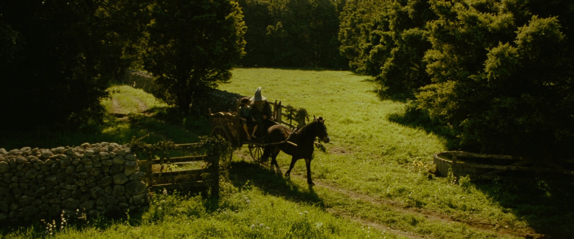 The Lord of the Rings: The Fellowship of the Ring (2001) HD screenshot 1160