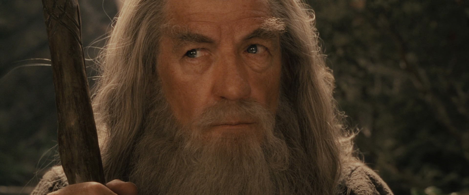 The Lord of the Rings: The Fellowship of the Ring (2001) movie still 11608