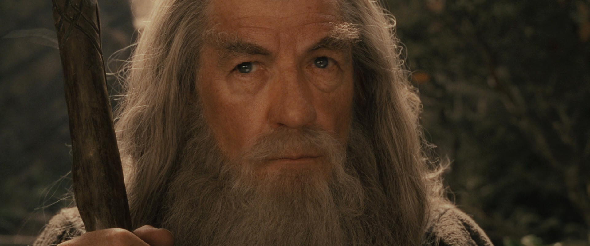 The Lord of the Rings: The Fellowship of the Ring (2001) HD screenshot 11609