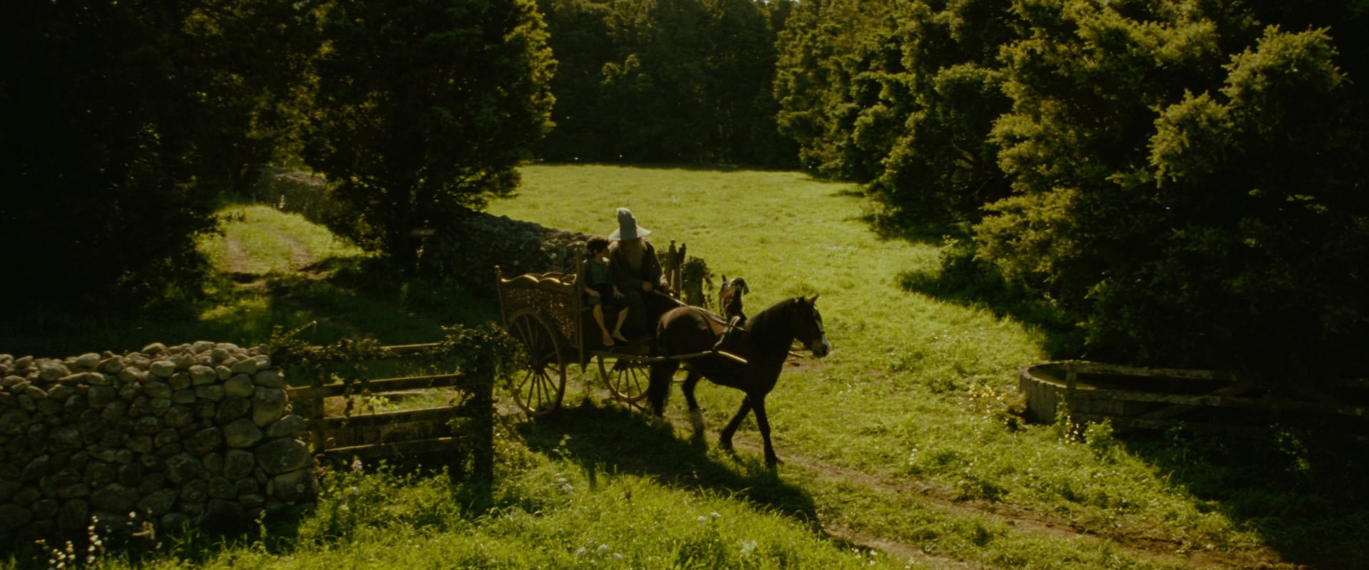 The Lord of the Rings: The Fellowship of the Ring (2001) screencap 1161