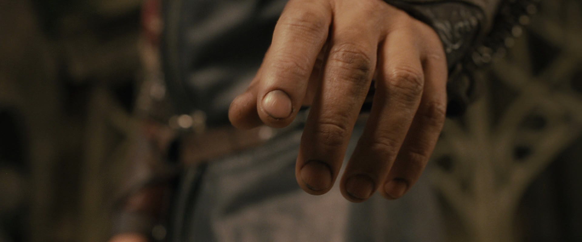 The Lord of the Rings: The Fellowship of the Ring (2001) screencap 11616