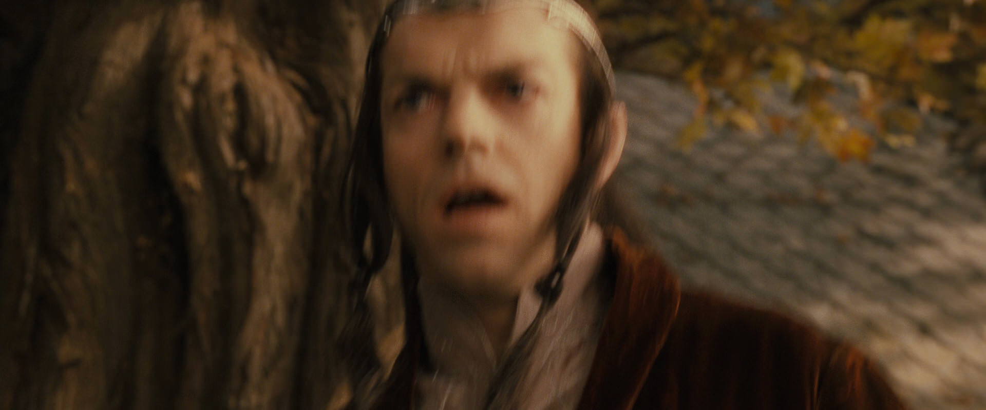 The Lord of the Rings: The Fellowship of the Ring (2001) movie still 11620
