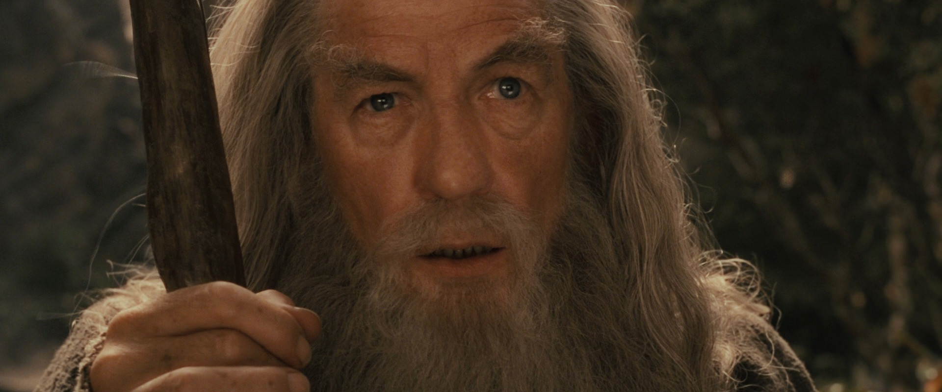 The Lord of the Rings: The Fellowship of the Ring (2001) HD screenshot 11621