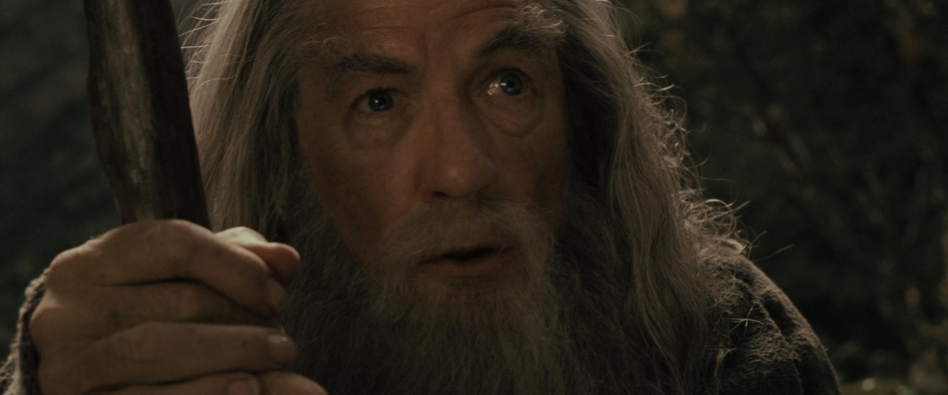 The Lord of the Rings: The Fellowship of the Ring (2001) HD screenshot 11627