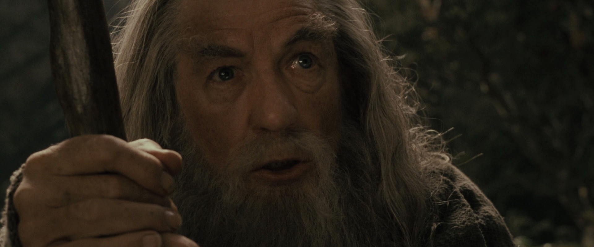 The Lord of the Rings: The Fellowship of the Ring (2001) screencap 11628