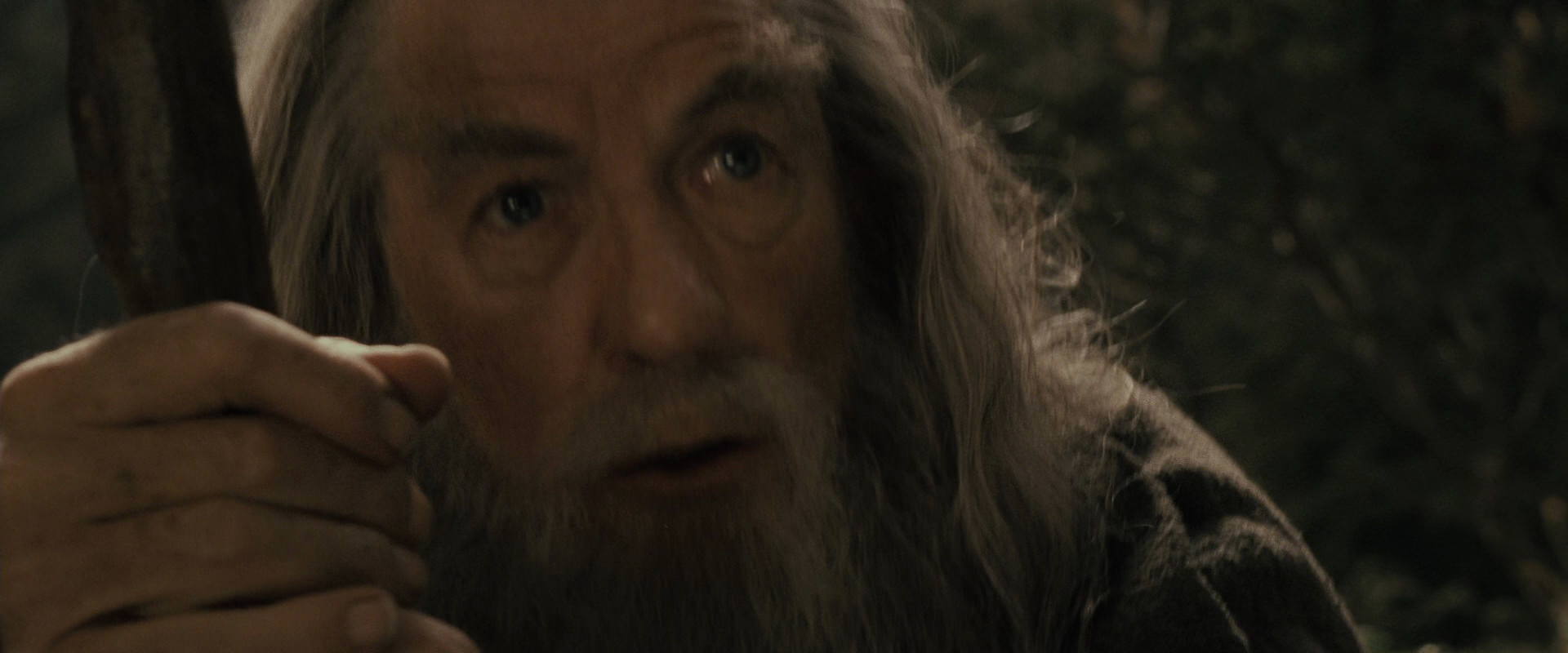 The Lord of the Rings: The Fellowship of the Ring (2001) movie still 11629
