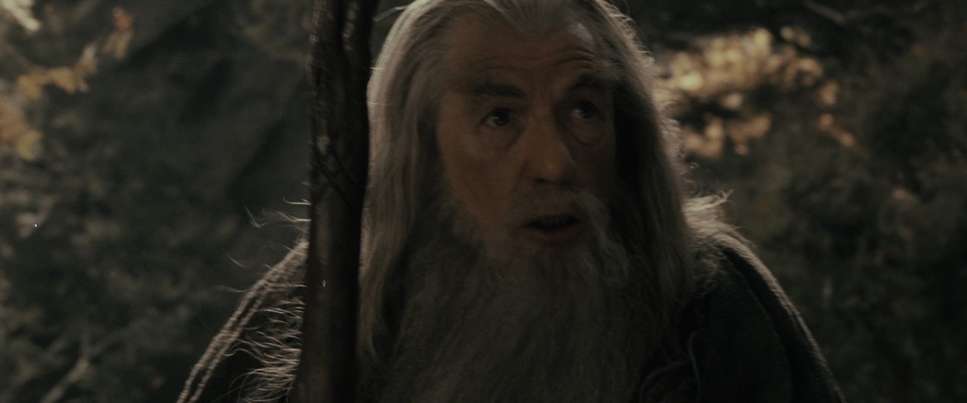 The Lord of the Rings: The Fellowship of the Ring (2001) HD screenshot 11636